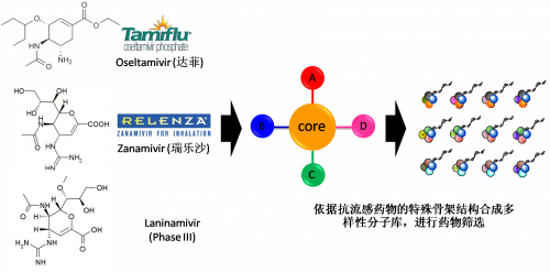 图2：以现有抗流感药物的结构为基。卸嘌砸┪锓肿涌獾暮铣伞
