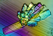 PD-1抑制剂成“抗癌神器”，国内外企业进展如何？