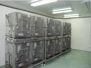 HJC黄金城平台猴房