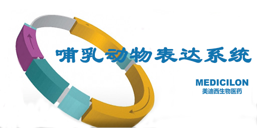 哺乳动物细胞表达系统特点、优势及研究现状