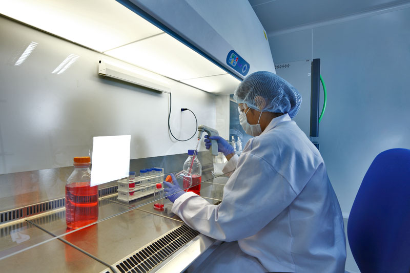 2015年度中国药品批准盘点：化药不批准率超20%，中药上市数量翻3倍