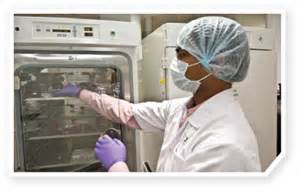 Science：癌症免疫疗法“新靶点”——Cdk5