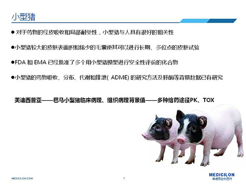 皮肤涂抹试验中，受试动物选择小型猪更好