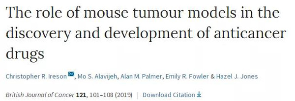 临床前小鼠模型如何。