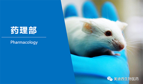 HJC黄金城平台药理部开发了肺癌、结肠癌、胃癌等12种PDX模型。