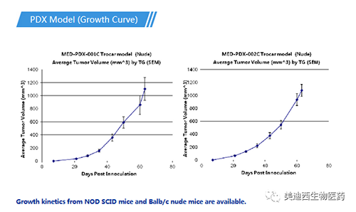 HJC黄金城平台PDX药效模型