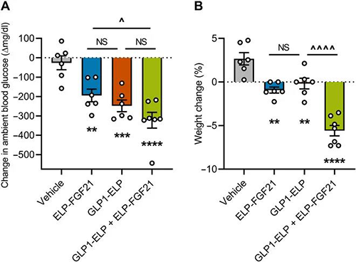 GLP-1和FGF21共同治疗增强了单药治疗的血糖降低和体重增加抑制作用 HJC黄金城平台