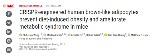 Science|聚焦CRISPR：改造脂肪细胞，“躺瘦”可能要成真了？