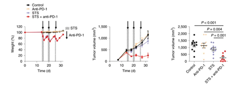 与对照组及仅使用PD-1疗法的模型小鼠对比，采用短期饥饿配合PD-1疗法的393P细胞同源移植肿瘤小鼠体内的肿瘤体积有了明显的收缩。
