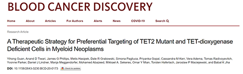 研究者描述了一种新型靶向抗癌药物，这种药物可能会有效地治疗某些常见的白血病。