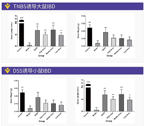 TNBS诱导的大鼠IBD、DSS诱导的大鼠IBD