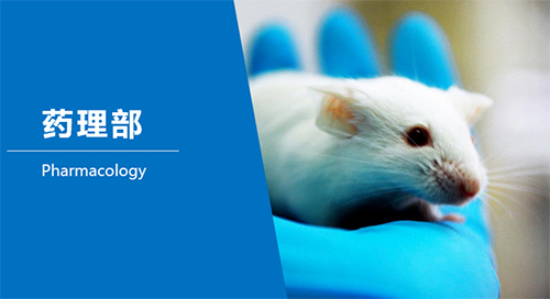 HJC黄金城平台临床前研究-药理部