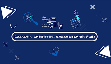 在ELISA实验，如何制备分子量小、免疫原性弱的多肽药物分子的抗体？