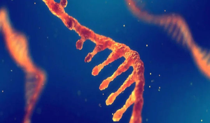 赋能核酸药物疗法，迎接新药研发第三次浪潮