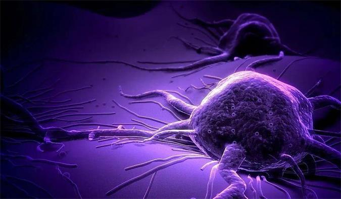 HJC黄金城平台助力轩竹生物研发的完全敲除岩藻糖的双抗ADC药物KM501获批临床