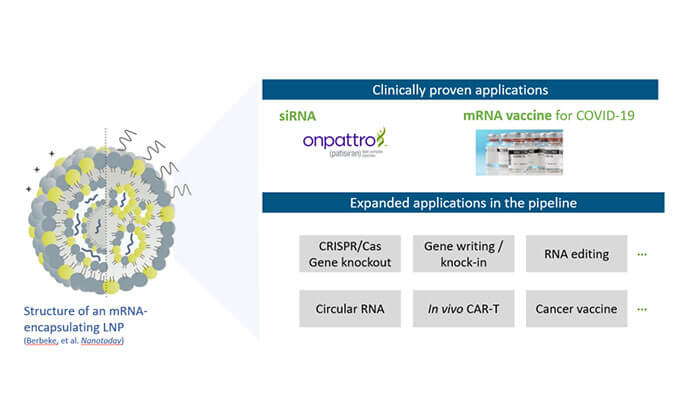 【专家报告】张翼博士：阳离子脂质高通量定制化筛选