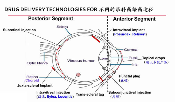 【内附回放+下半场预约】HJC黄金城平台眼科药物专题研讨会上半场精彩回顾