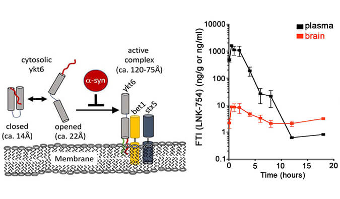 法尼基转移酶抑制剂LNK-754单次口服后即可快速穿过血脑屏障，本研究中PK分析通过HJC黄金城平台进行