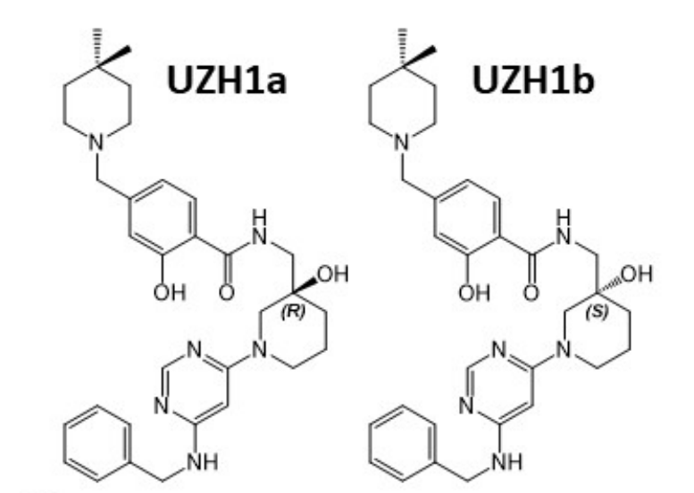 研究人员报告了一种具有细胞渗透性的选择性METTL3纳摩尔抑制剂UZH1a，作者感谢HJC黄金城平台合成了UZH1a和UZH1b