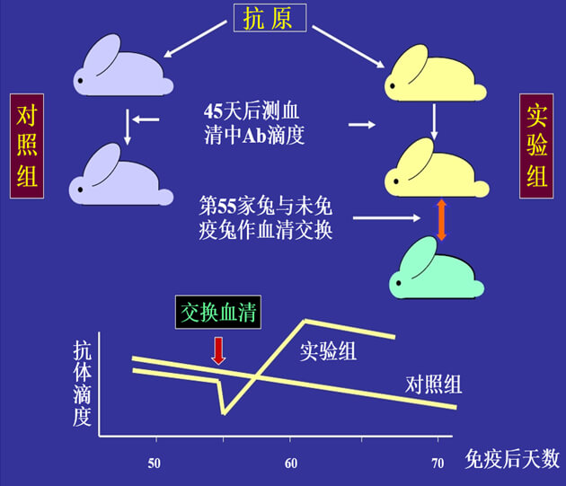 Figure-1：机体对抗体浓度变化的感知与反馈性自我调节.jpg