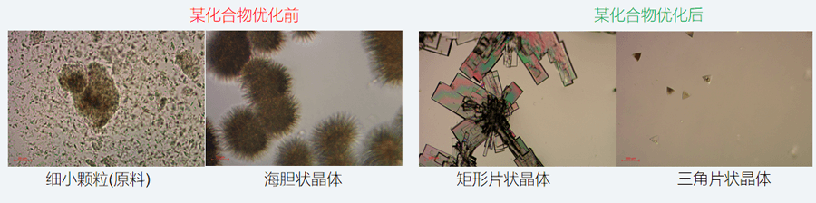 05案例分享-单晶培养，改变晶习.png