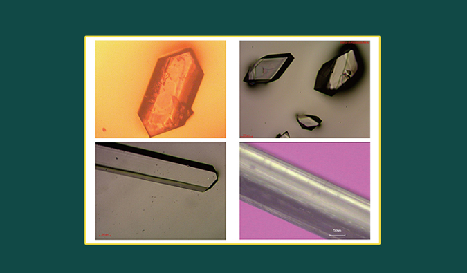 美研| CMC系列(十二)：单晶结构解析在药物开发中的应用和单晶培养哪些事儿