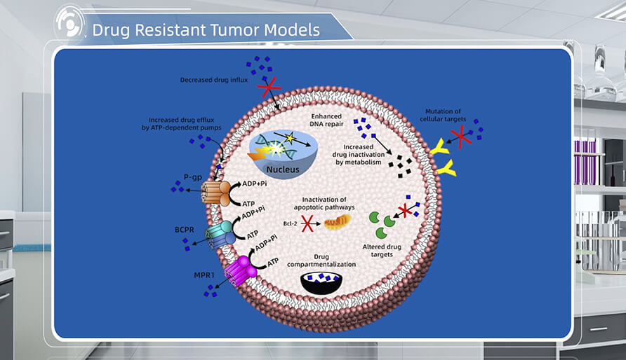 肿瘤耐药机制是什么？