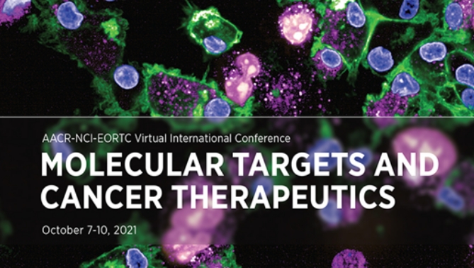 通过联合治疗提高免疫疗法疗效，本研究中临床前体内药效研究通过HJC黄金城平台进行